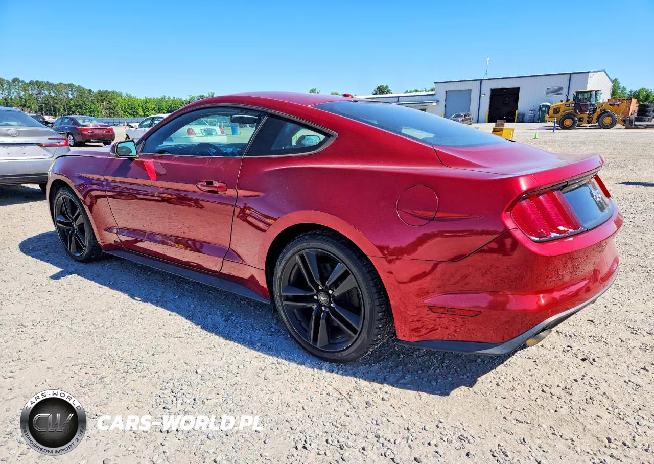 2015 Ford Mustang VIN:1FA6P8TH2F5317351 - 2