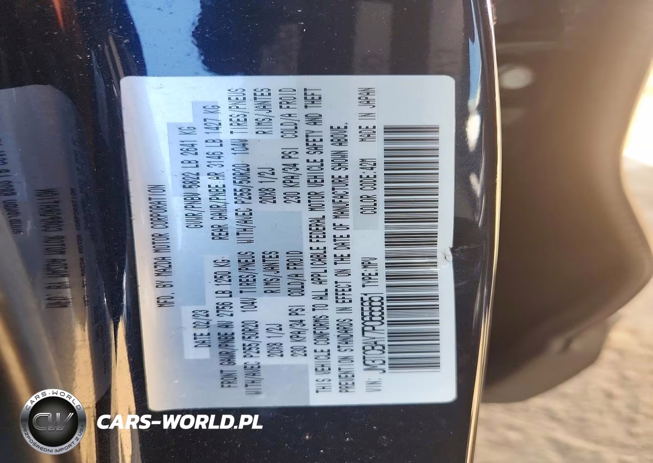 2023 Mazda Cx-9 Touring Plus VIN:JM3TCBAY7P0655651 - 13