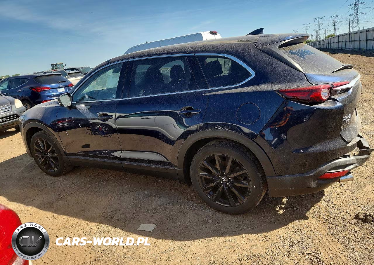 2023 Mazda Cx-9 Touring Plus VIN:JM3TCBAY7P0655651 - 2