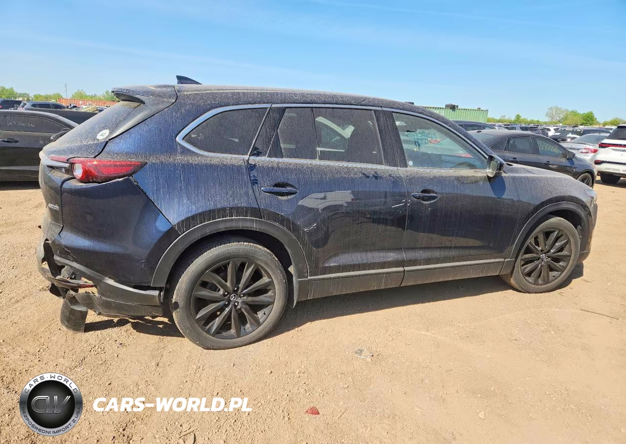 2023 Mazda Cx-9 Touring Plus VIN:JM3TCBAY7P0655651 - 3