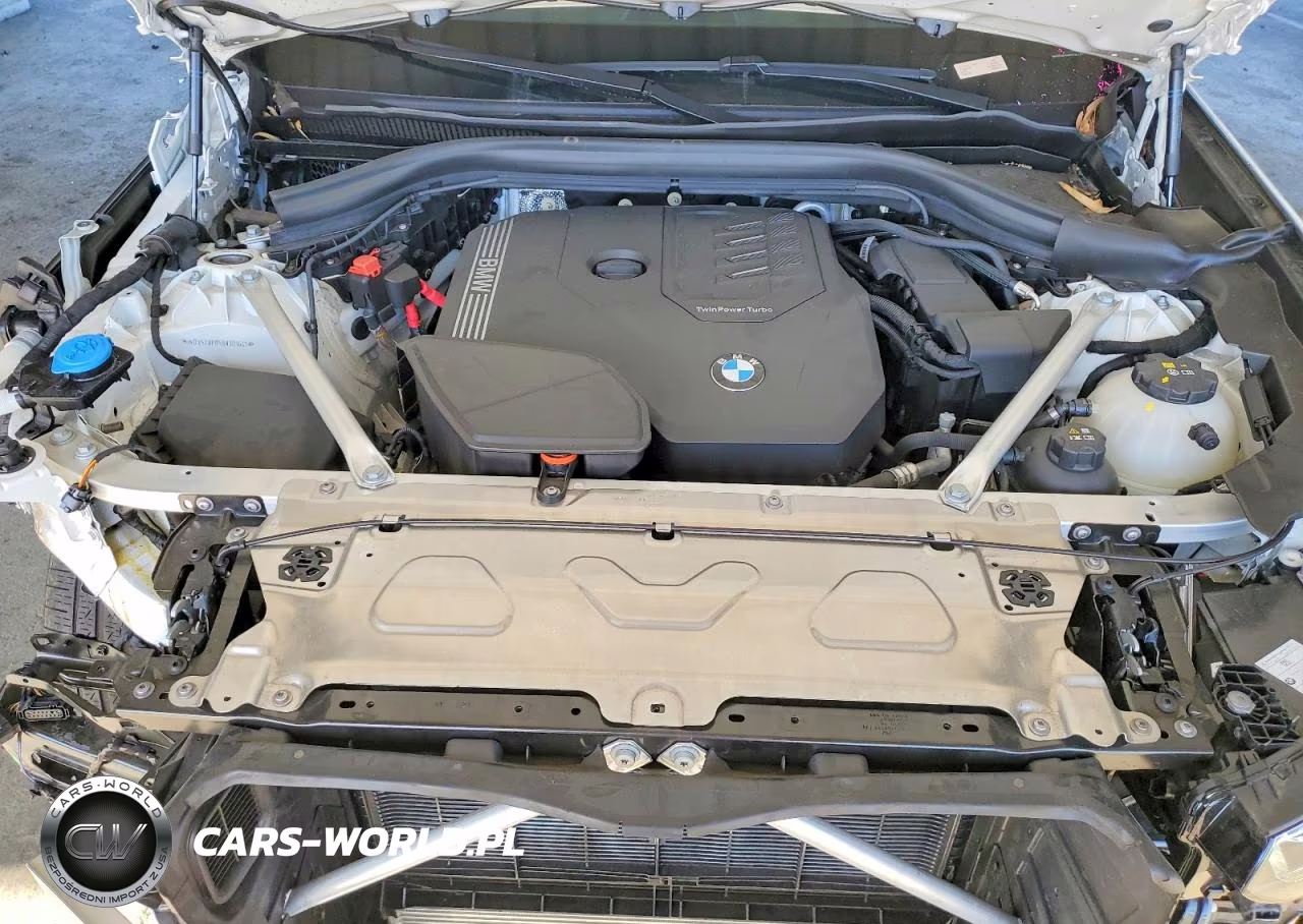2024 BMW X3 xDrive30I VIN:WBX57DP05RN301641 - 11