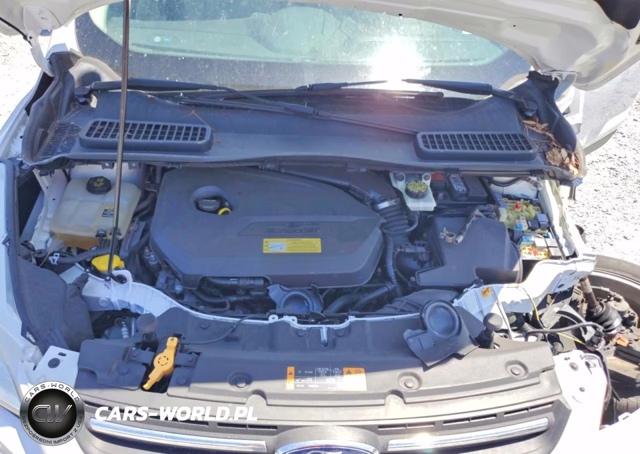 2013 Ford Escape Se VIN:1FMCU0GX2DUA45830 - 12