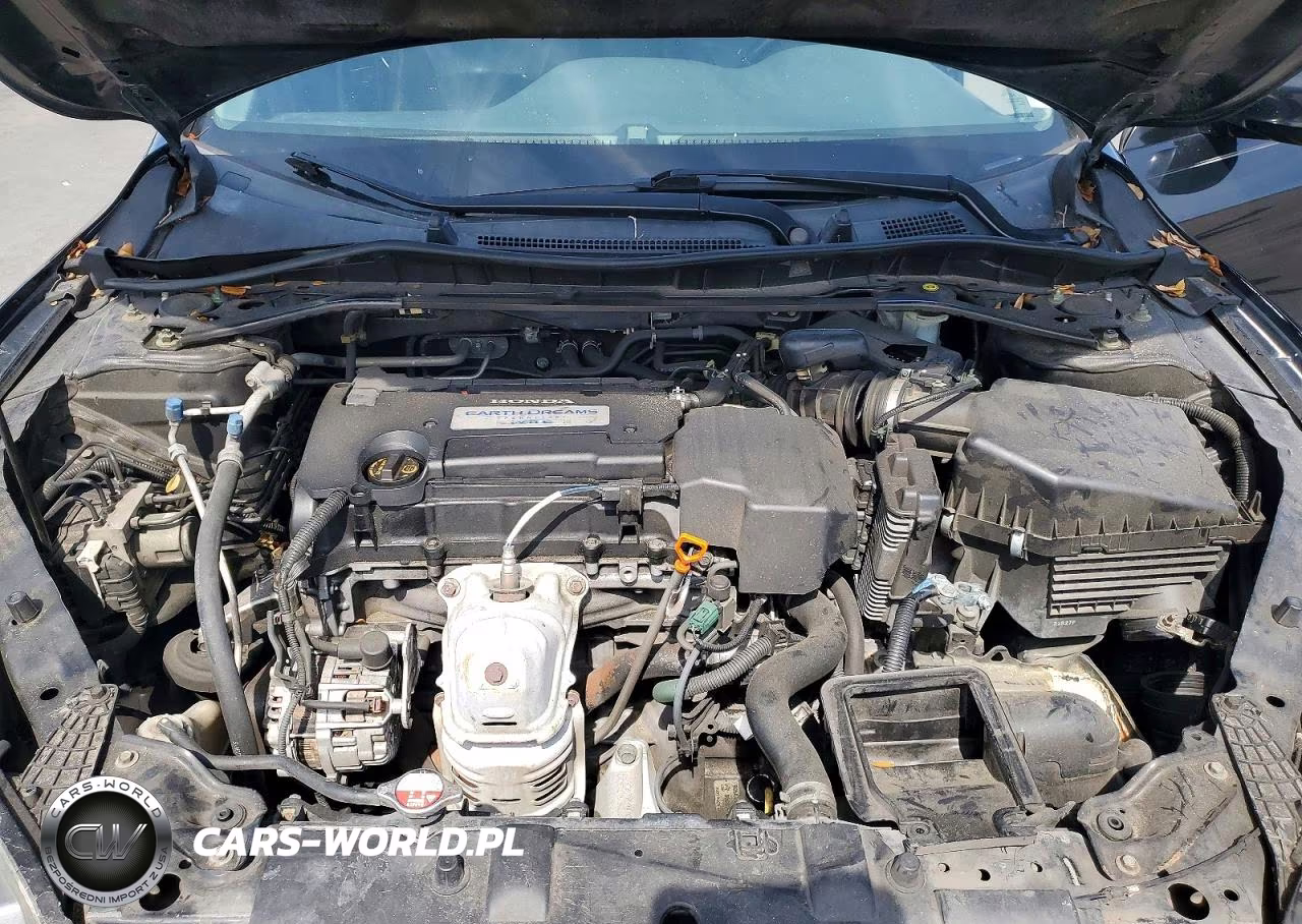 2013 Honda Accord Exl VIN:1HGCR2F84DA138847 - 11