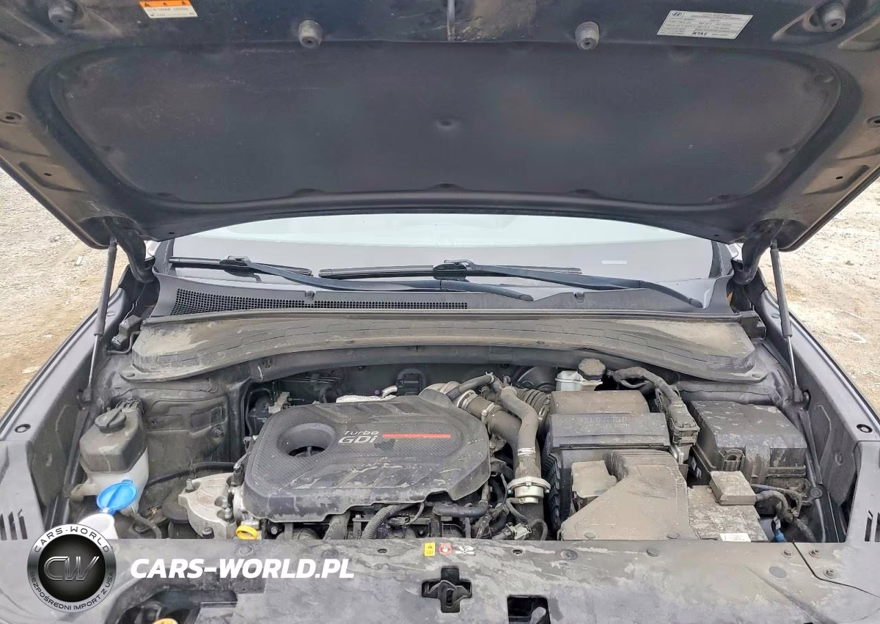 2020 Hyundai Santa Fe Sel 2.0T VIN:5NMS33AAXLH151943 - 12