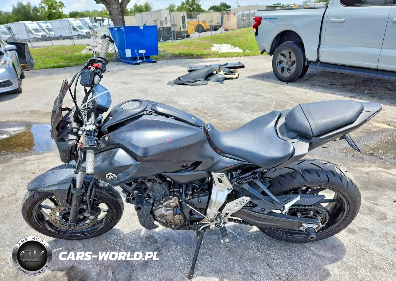 2015 Yamaha Fz07 VIN:JYARM06E5FA003439 - 3