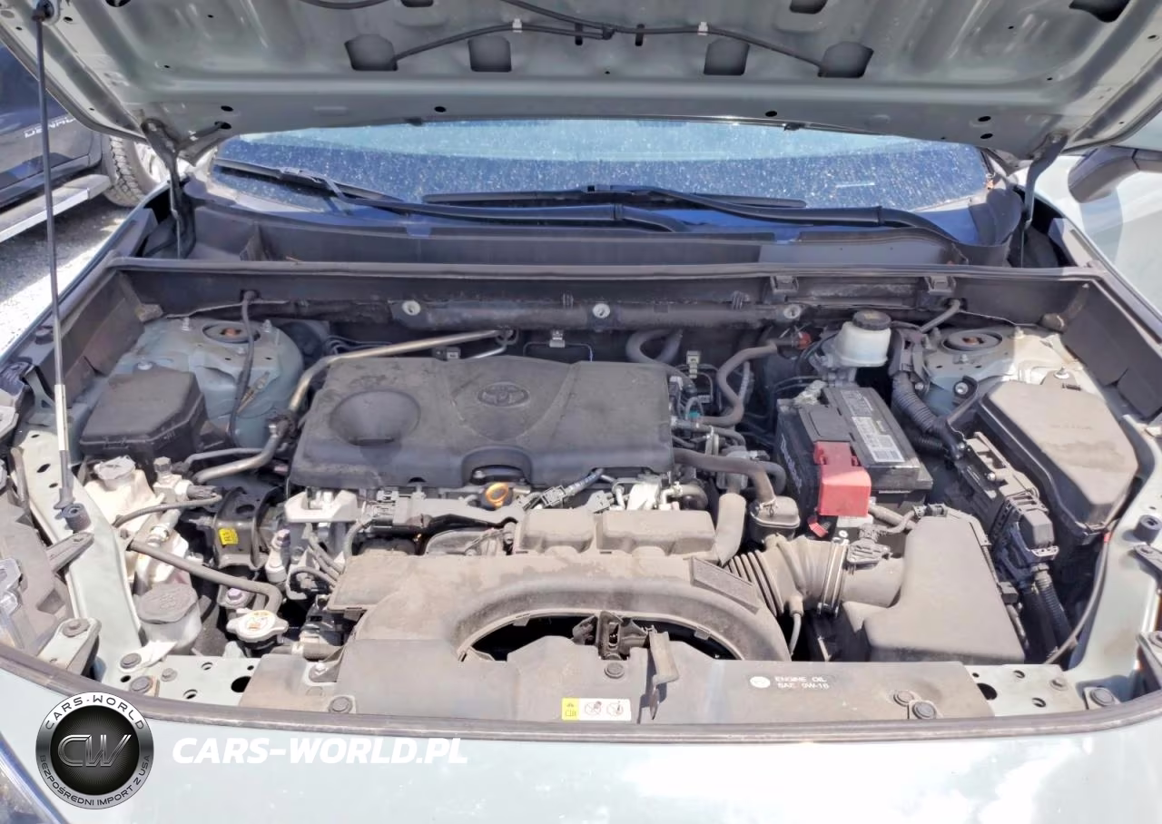 2019 Toyota Rav4 Xle VIN:2T3W1RFVXKW005199 - 12