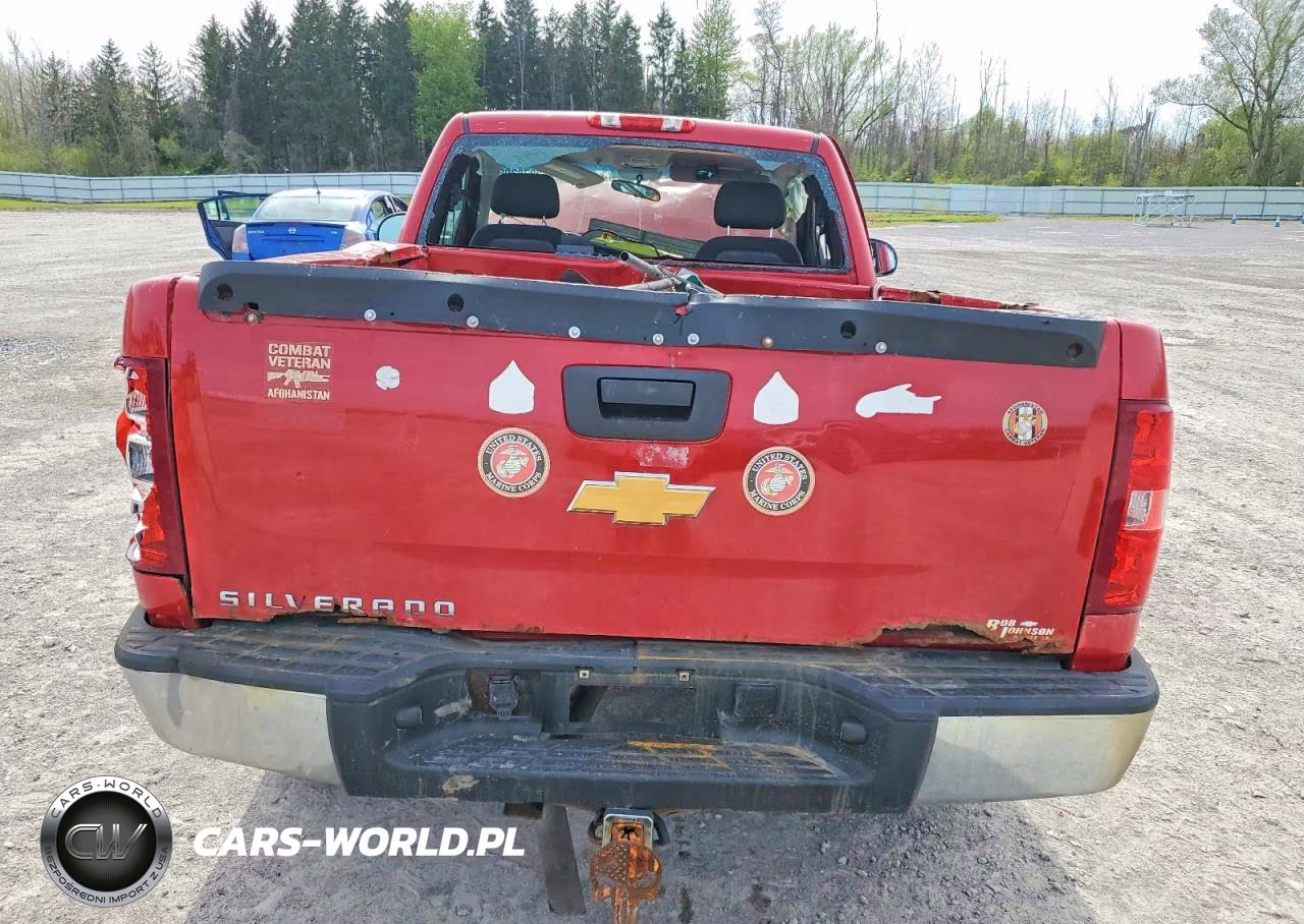 2012 Chevrolet Silverado C1500 VIN:1GCNCPEX4CZ334432 - 10