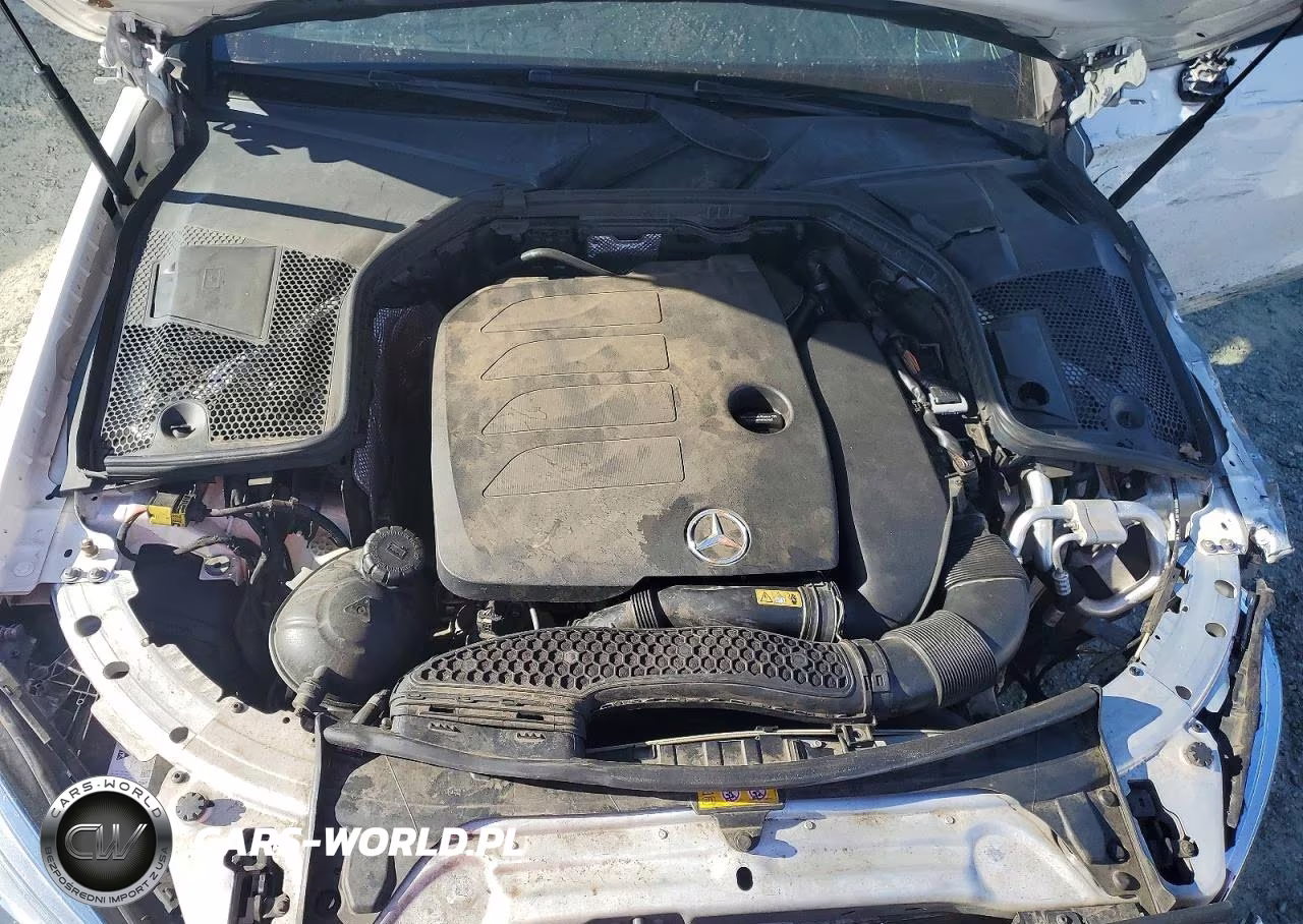 2020 Mercedes-Benz C 300 VIN:W1KWJ8DB1LF988818 - 11
