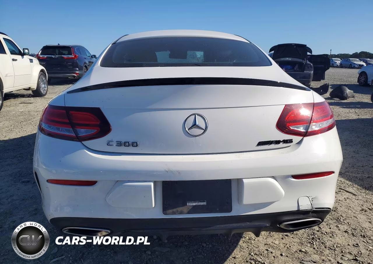 2020 Mercedes-Benz C 300 VIN:W1KWJ8DB1LF988818 - 6