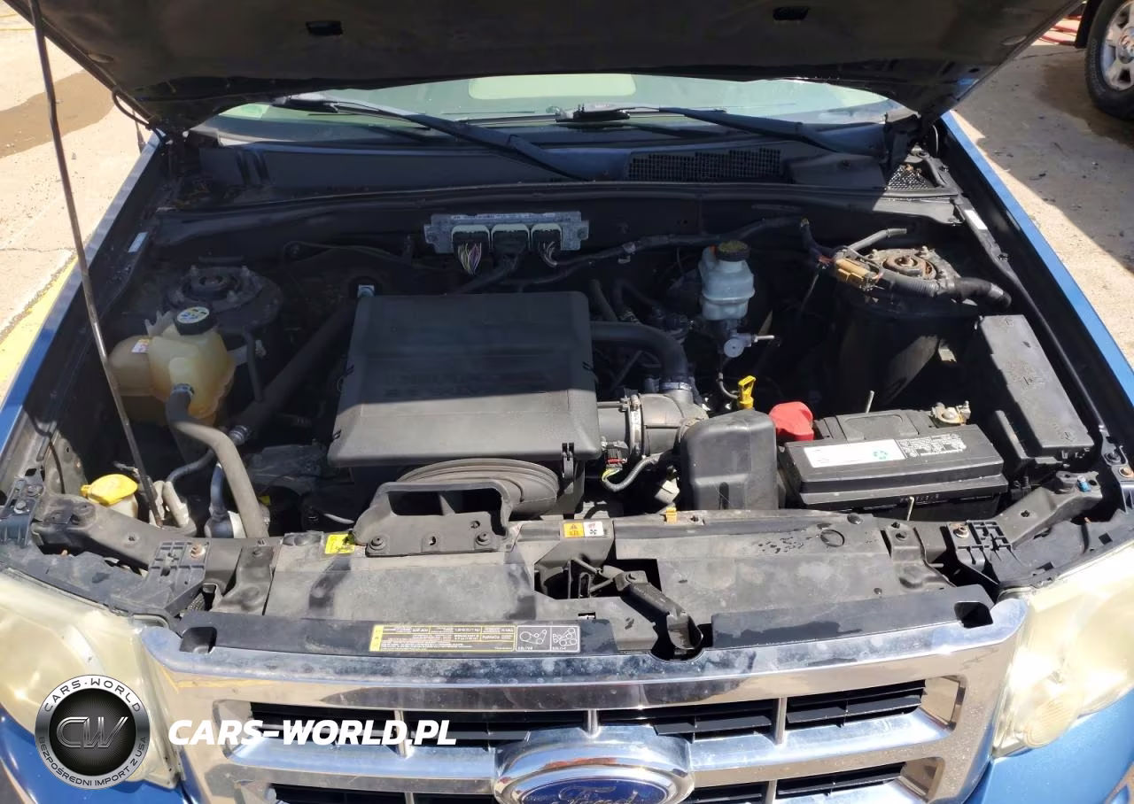 2009 Ford Escape Xlt VIN:1FMCU03G09KA92248 - 12