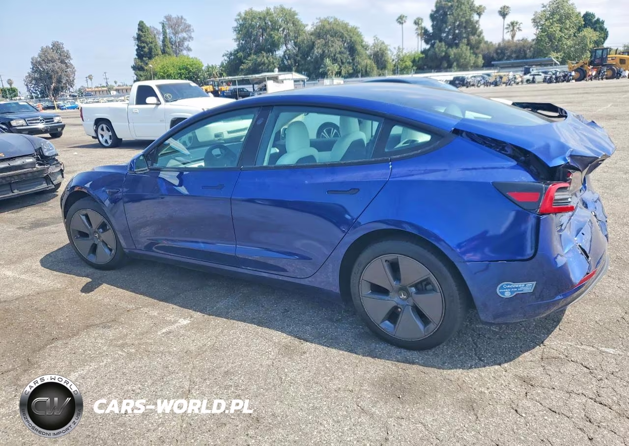 2021 Tesla Model 3 VIN:5YJ3E1EA5MF875233 - 2