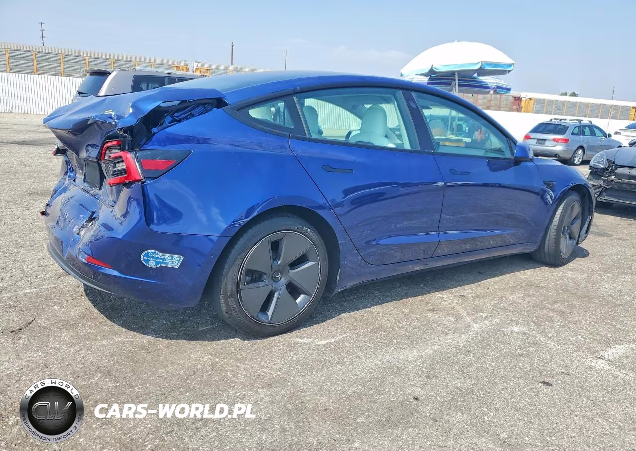 2021 Tesla Model 3 VIN:5YJ3E1EA5MF875233 - 3