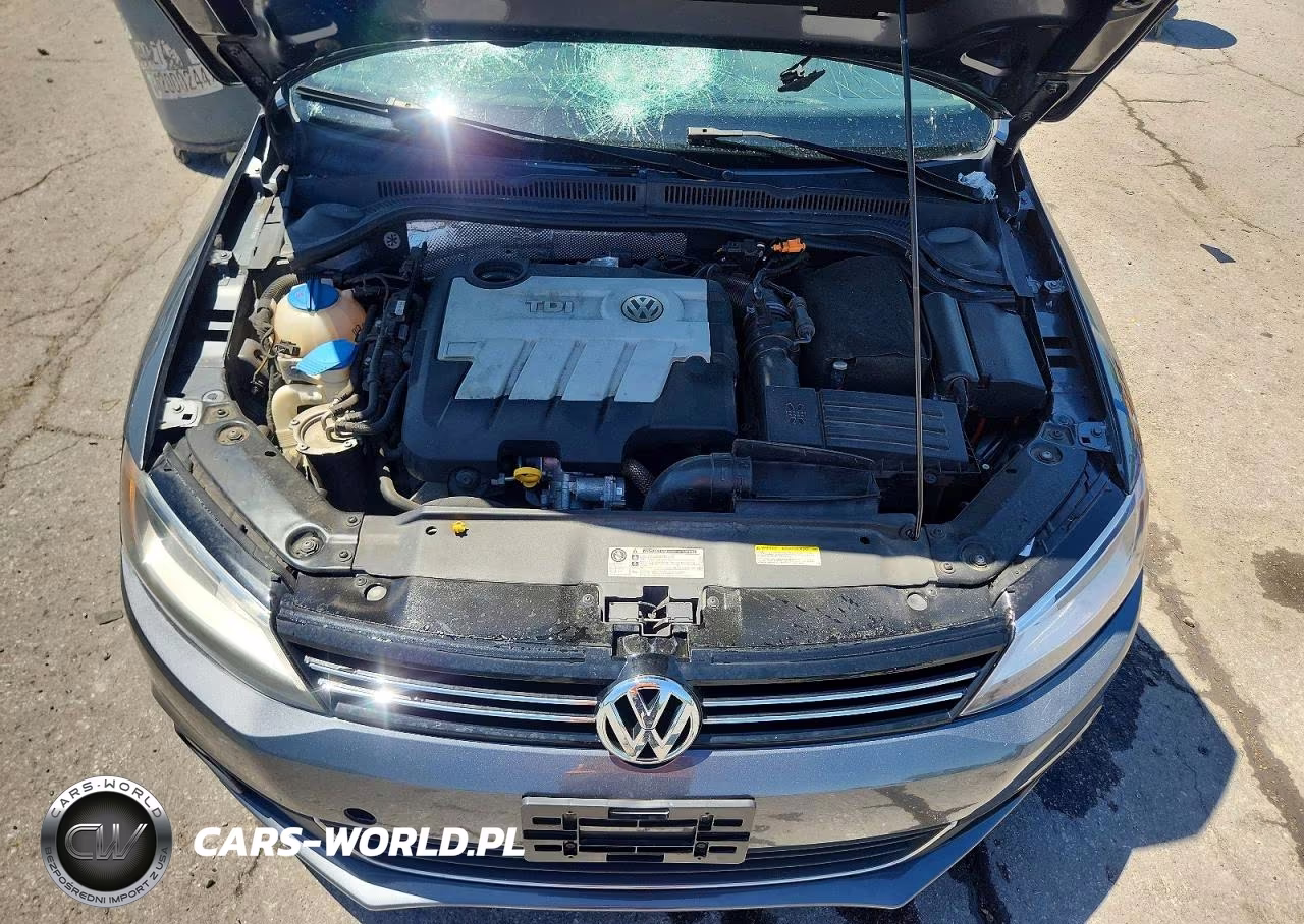 2014 Volkswagen Jetta Tdi VIN:3VWLL7AJ6EM416608 - 11