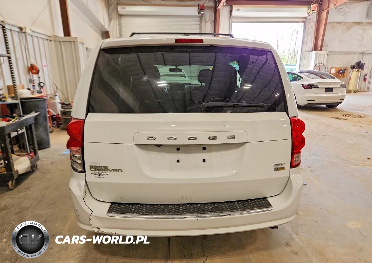 DODGE GRAND CARA VIN:2C4RDGEG8HR696960 - 6