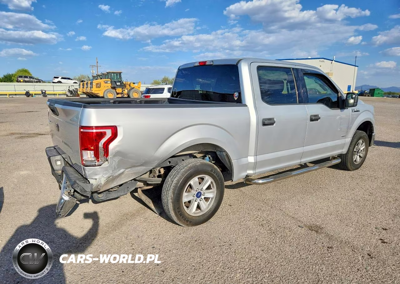 2016 Ford F150 Supercrew VIN:1FTEW1CG4GFA16356 - 3