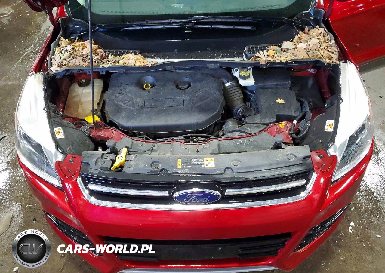 2014 Ford Escape Titanium VIN:1FMCU9J97EUD87564 - 11