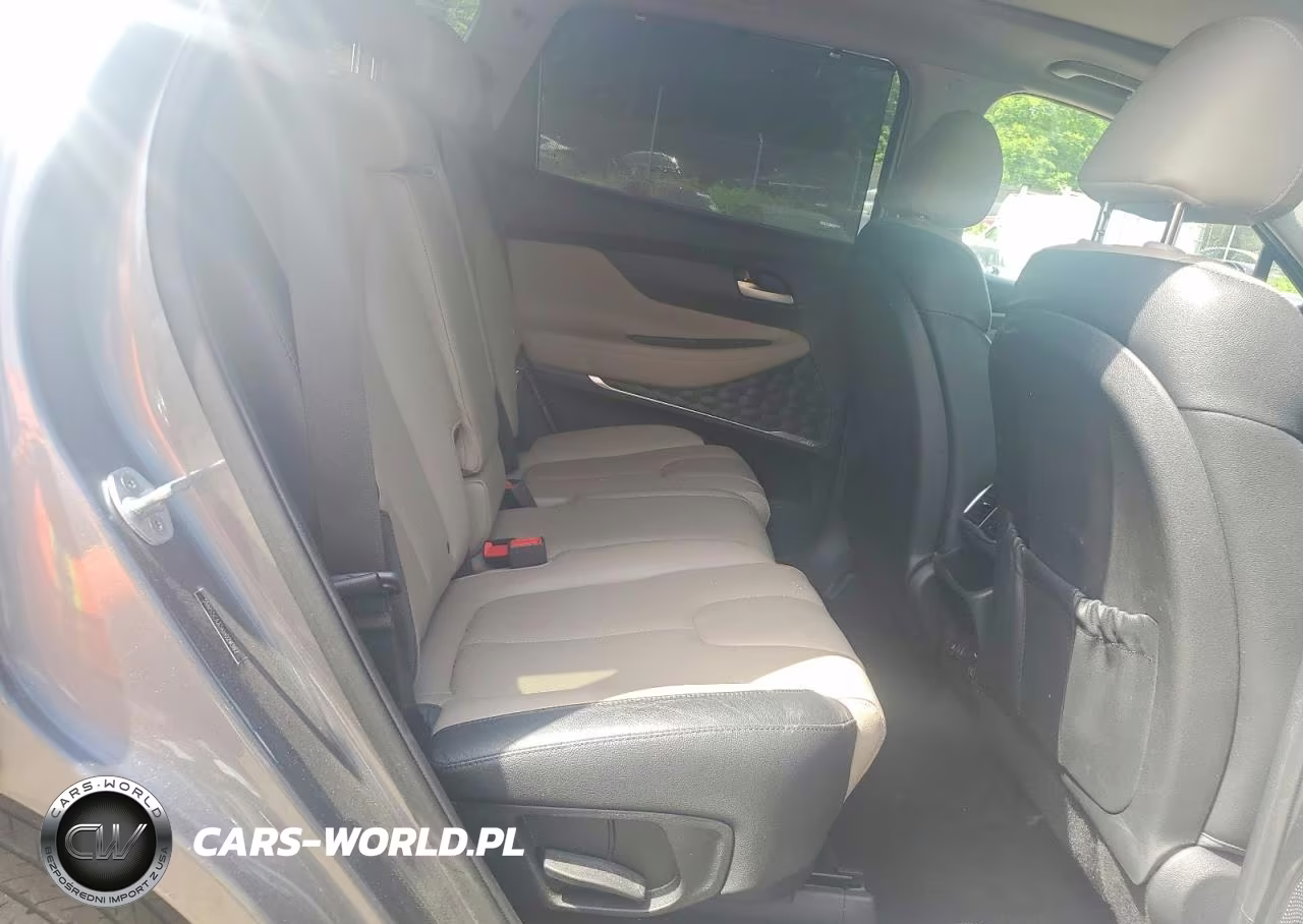 2019 Hyundai Santa Fe Limited 2.0T VIN:5NMS5CAA5KH026387 - 10