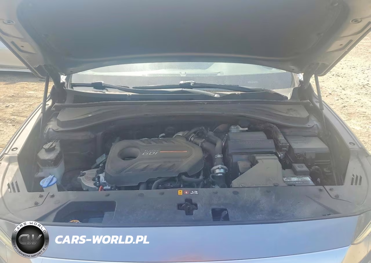 2019 Hyundai Santa Fe Limited 2.0T VIN:5NMS5CAA5KH026387 - 11
