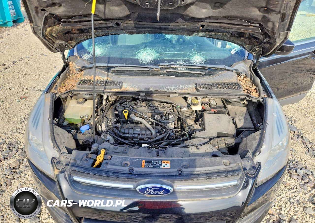 2014 Ford Escape Se VIN:1FMCU0GX8EUC28117 - 12