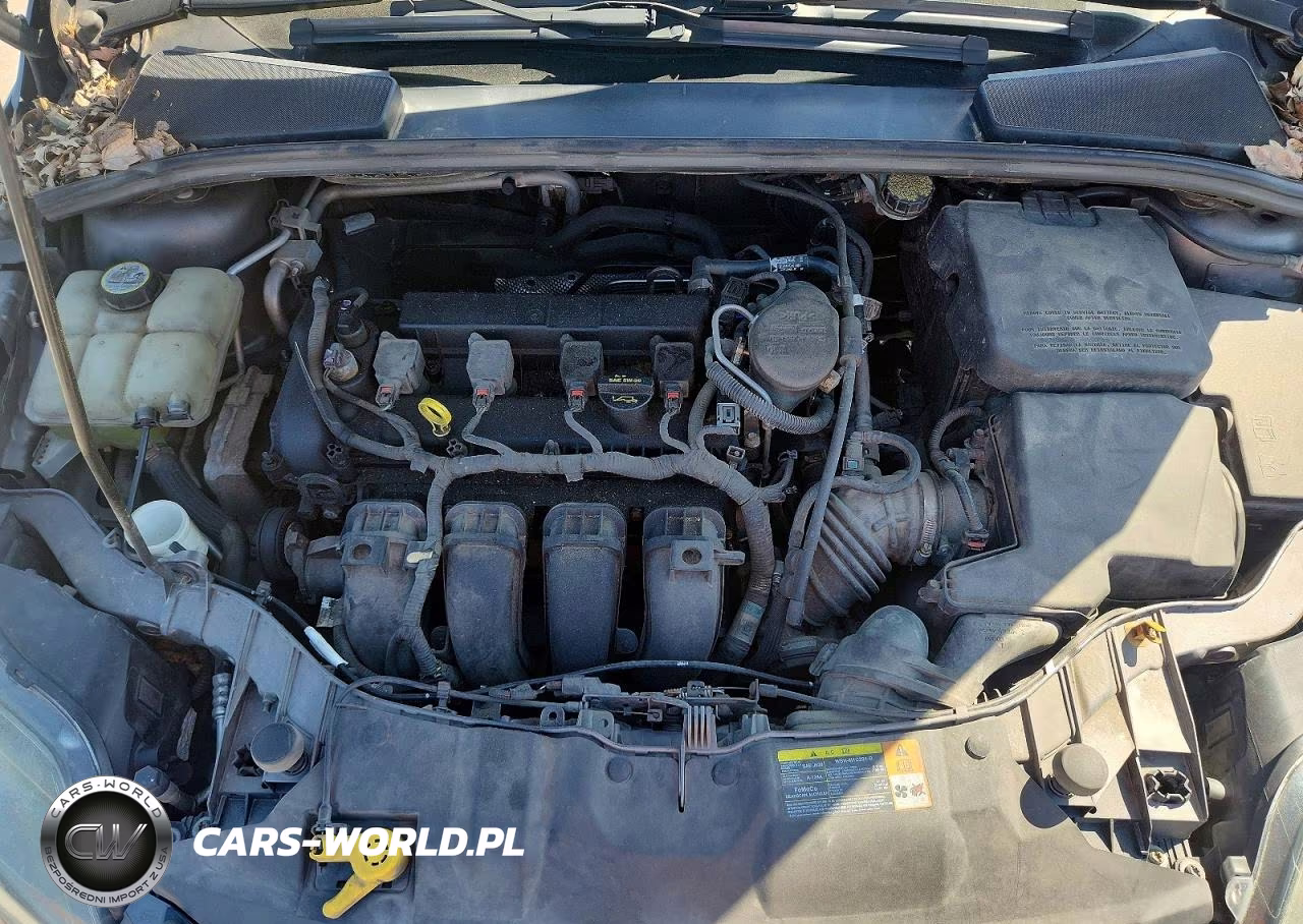 2013 Ford Focus Titanium VIN:1FADP3N24DL106258 - 11
