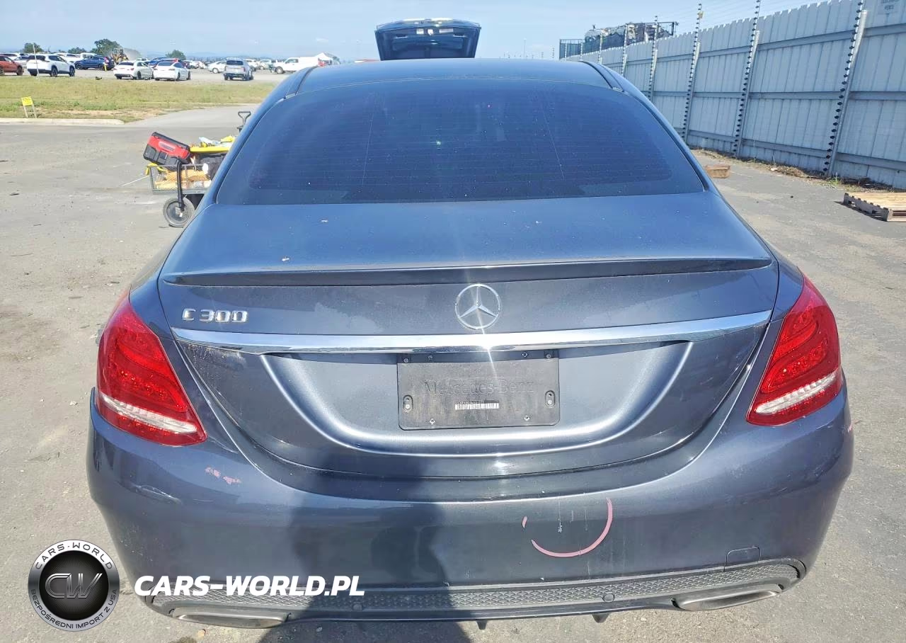2016 Mercedes-Benz C 300 VIN:55SWF4JB1GU153383 - 6