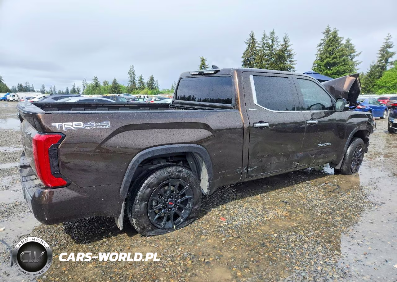 2022 Toyota Tundra Crewmax Limited VIN:5TFJA5EC6NX001234 - 3