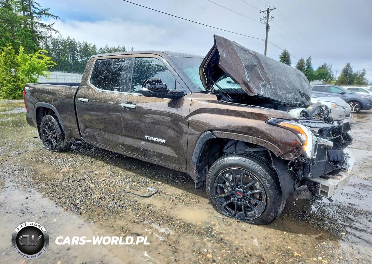 2022 Toyota Tundra Crewmax Limited VIN:5TFJA5EC6NX001234 - 4