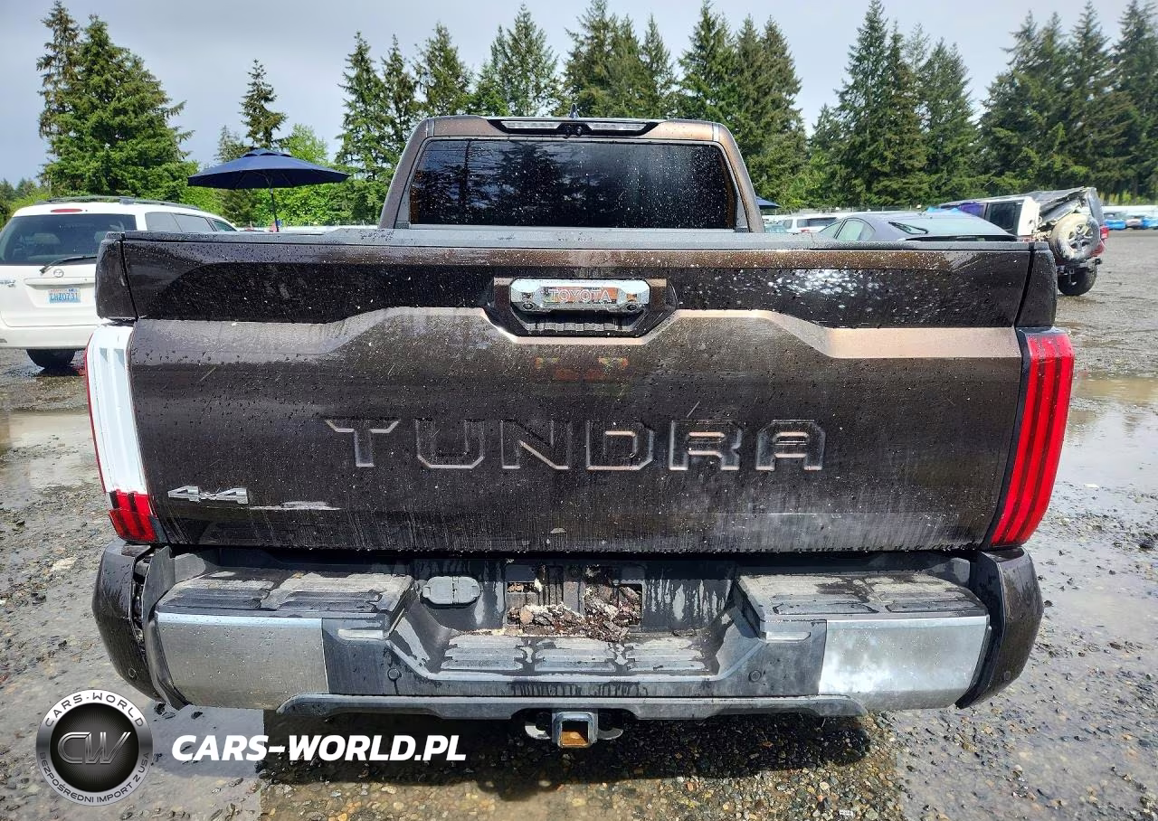 2022 Toyota Tundra Crewmax Limited VIN:5TFJA5EC6NX001234 - 6