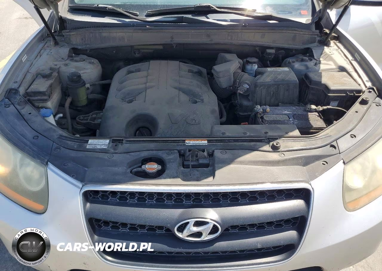 2009 Hyundai Santa Fe Se VIN:5NMSH73E29H230699 - 12