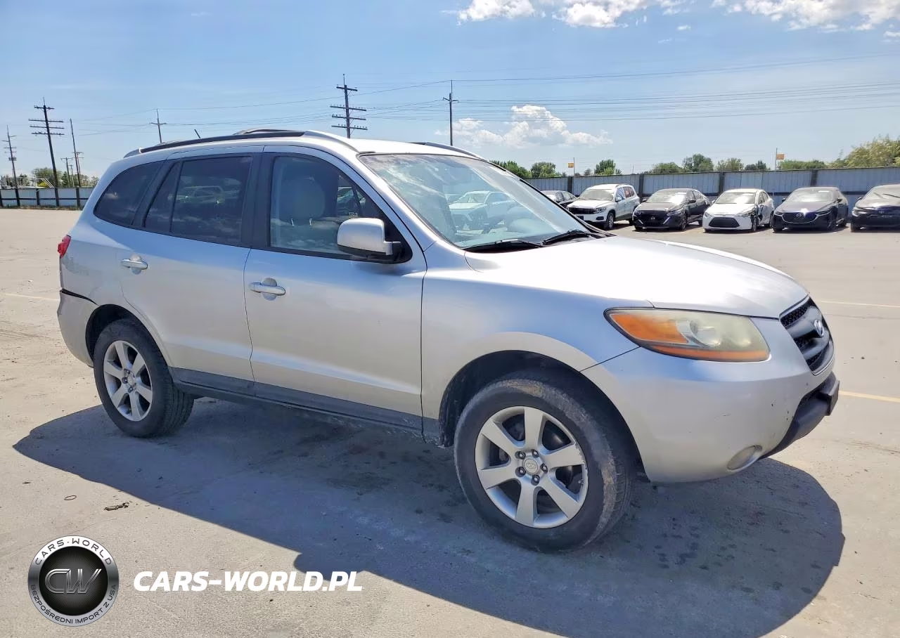 2009 Hyundai Santa Fe Se VIN:5NMSH73E29H230699 - 4