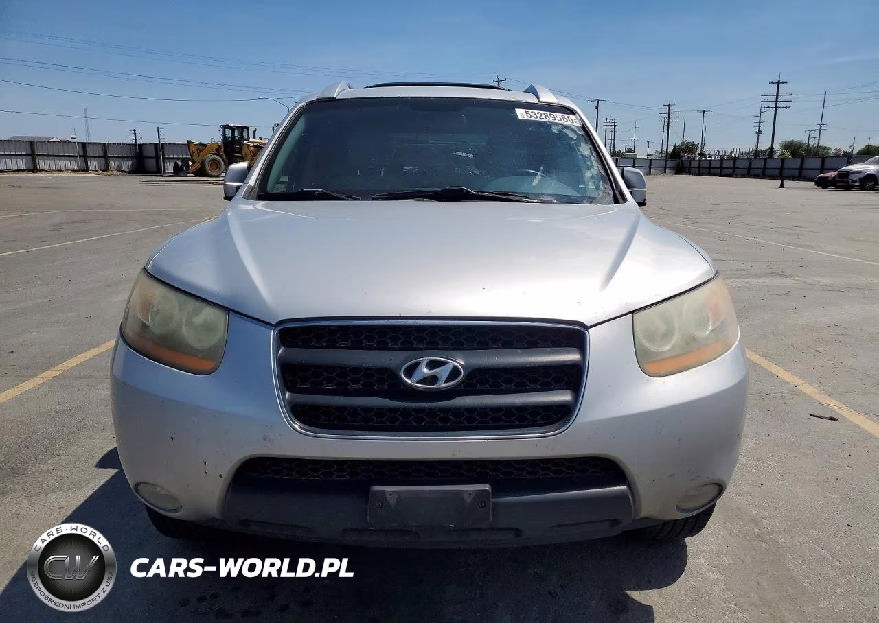 2009 Hyundai Santa Fe Se VIN:5NMSH73E29H230699 - 5
