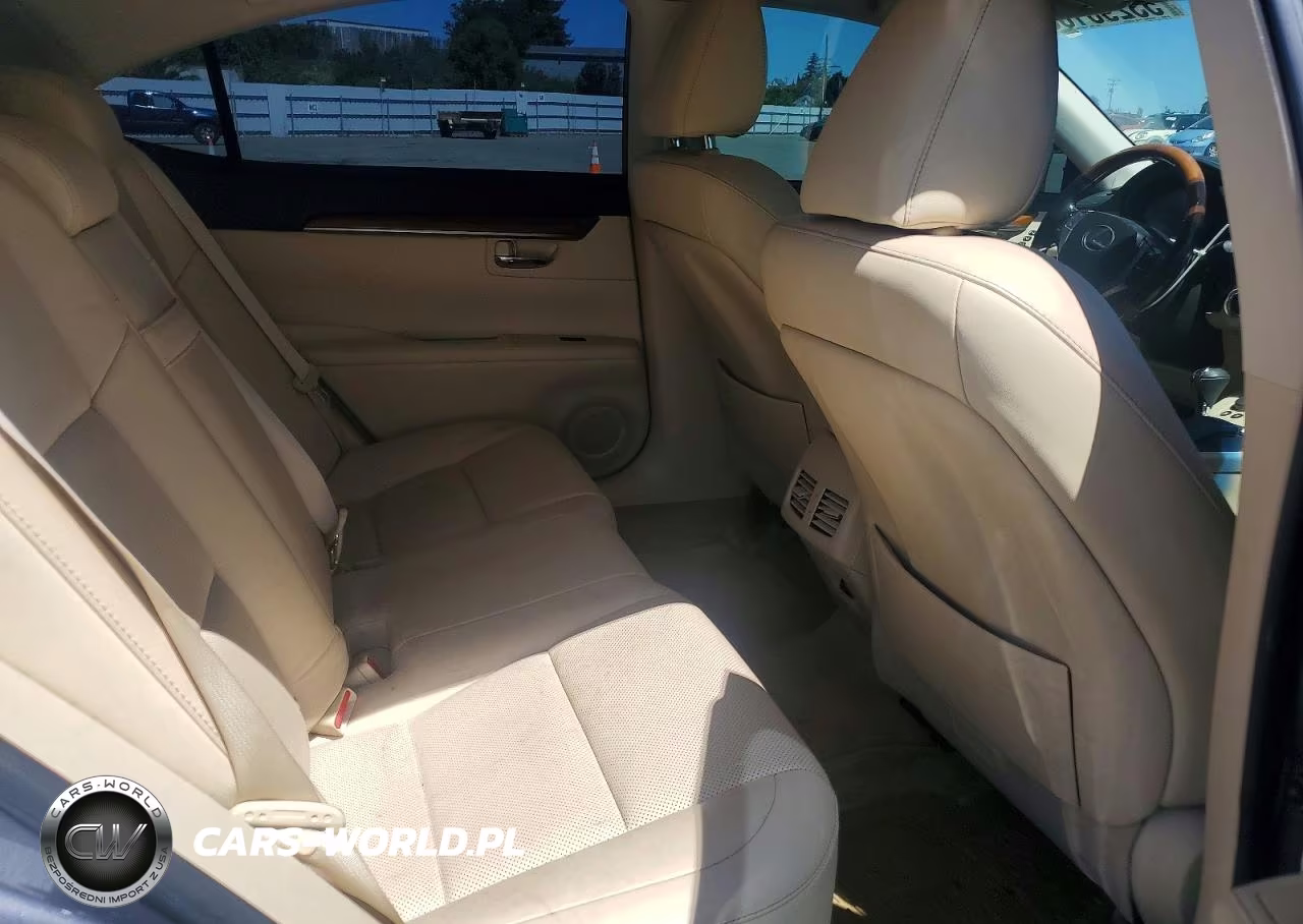 2013 Lexus Es 300H VIN:JTHBW1GG2D2017648 - 10