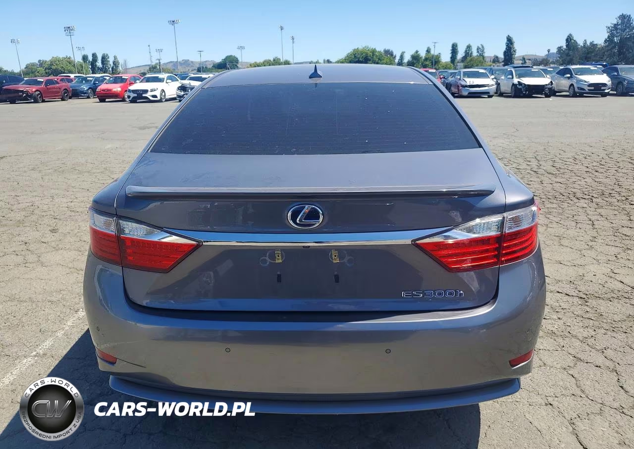 2013 Lexus Es 300H VIN:JTHBW1GG2D2017648 - 6
