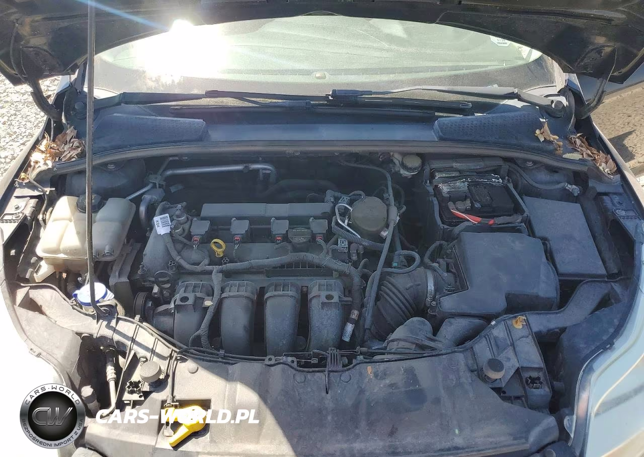 2014 Ford Focus Se VIN:1FADP3K27EL276782 - 11
