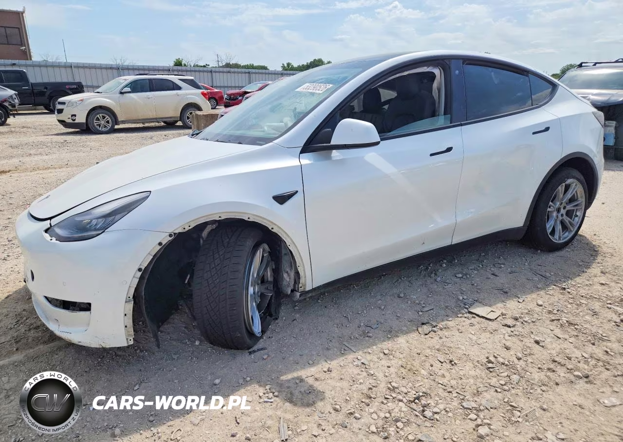 2020 Tesla Model Y