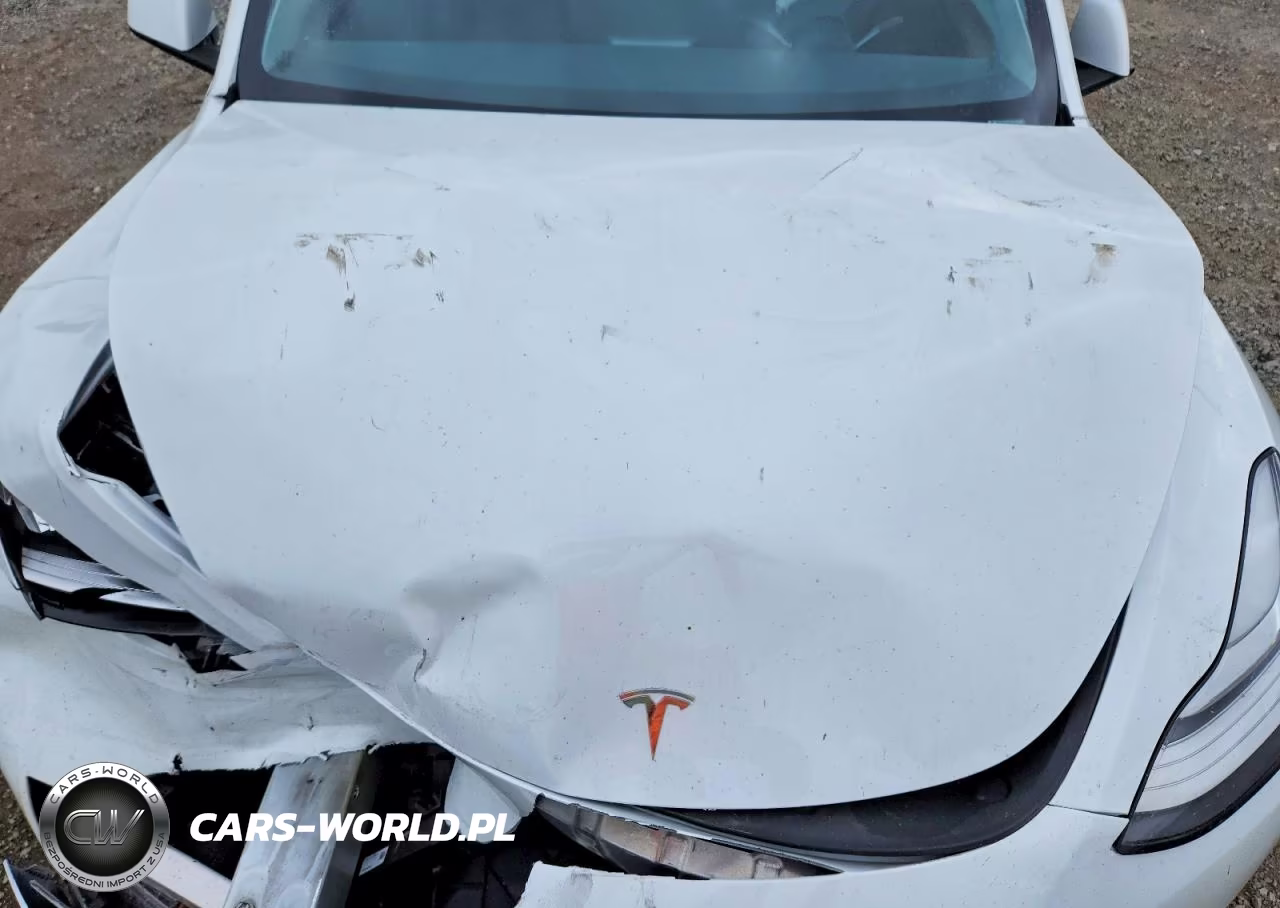 2023 Tesla Model Y VIN:7SAYGDEE3PA129047 - 11