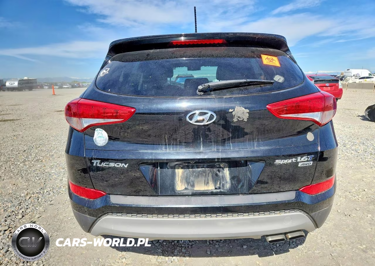 2017 Hyundai Tucson Sport VIN:KM8J3CA25HU527528 - 6