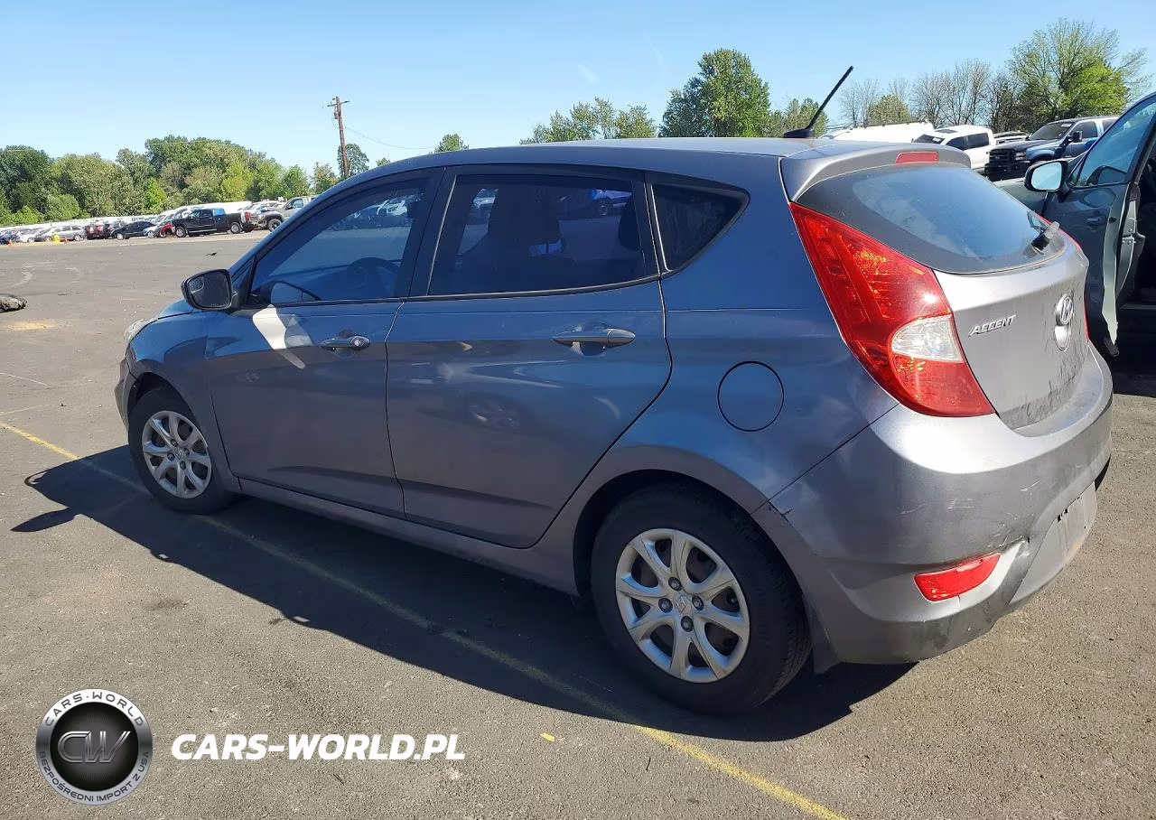 2014 Hyundai Accent Gs VIN:KMHCT5AE5EU192927 - 2