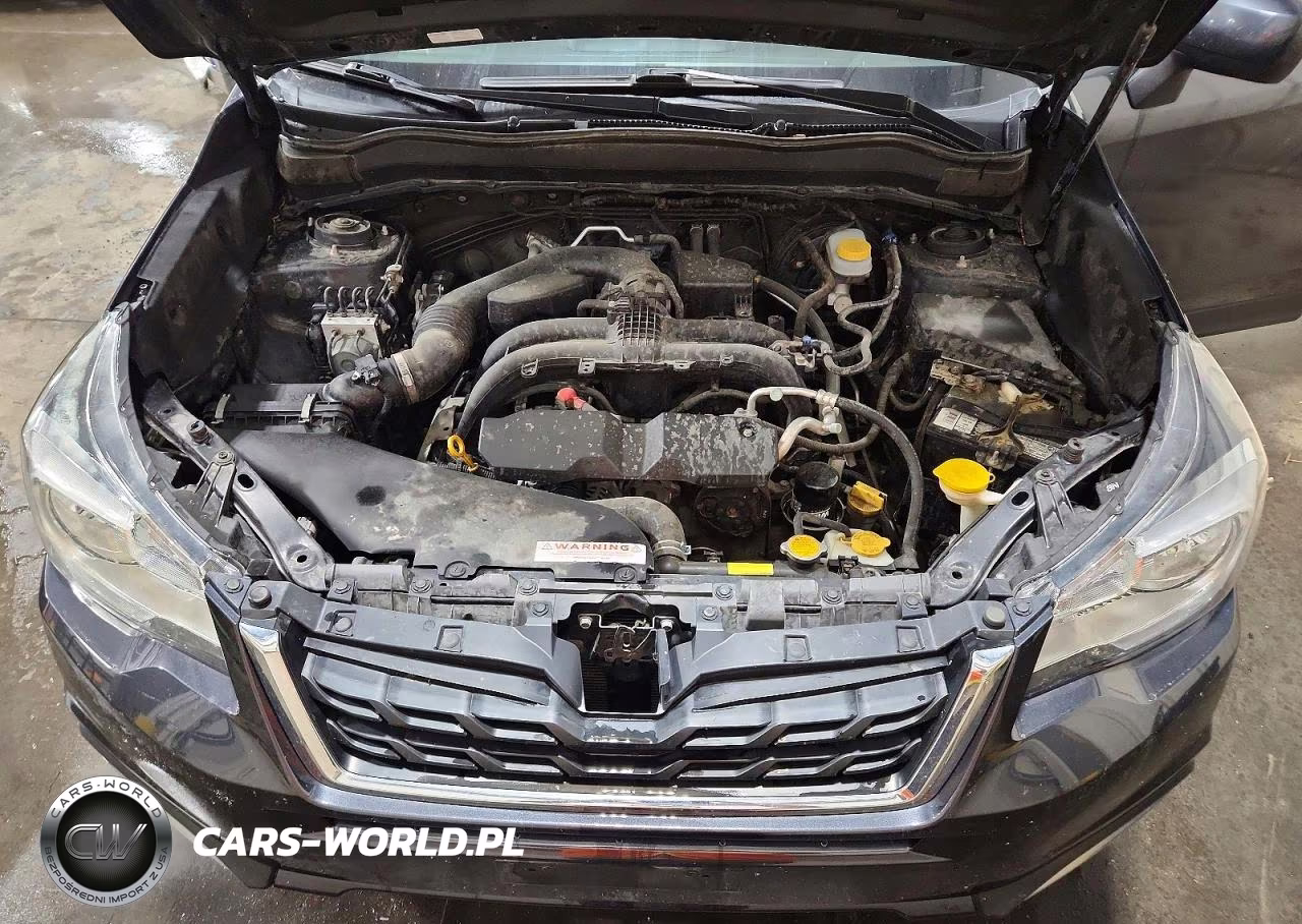 2017 Subaru Forester 2.5I Premium VIN:JF2SJAEC5HH407051 - 12
