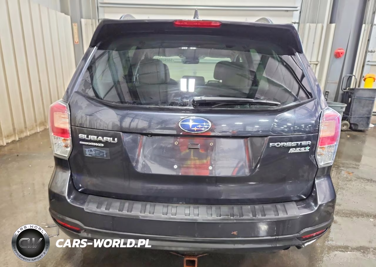 2017 Subaru Forester 2.5I Premium VIN:JF2SJAEC5HH407051 - 6