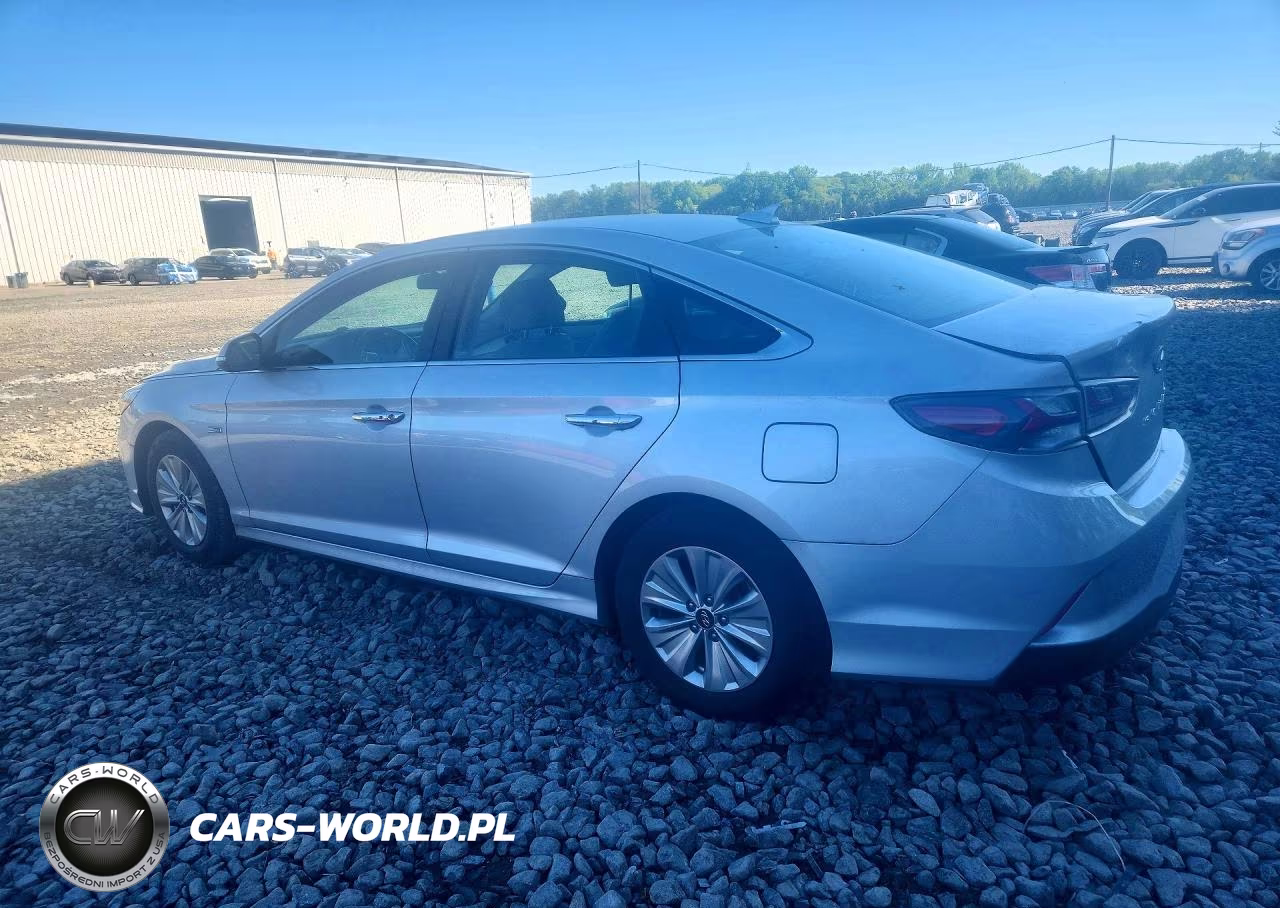 2019 Hyundai Sonata Hybrid Se VIN:KMHE24L3XKA091199 - 2