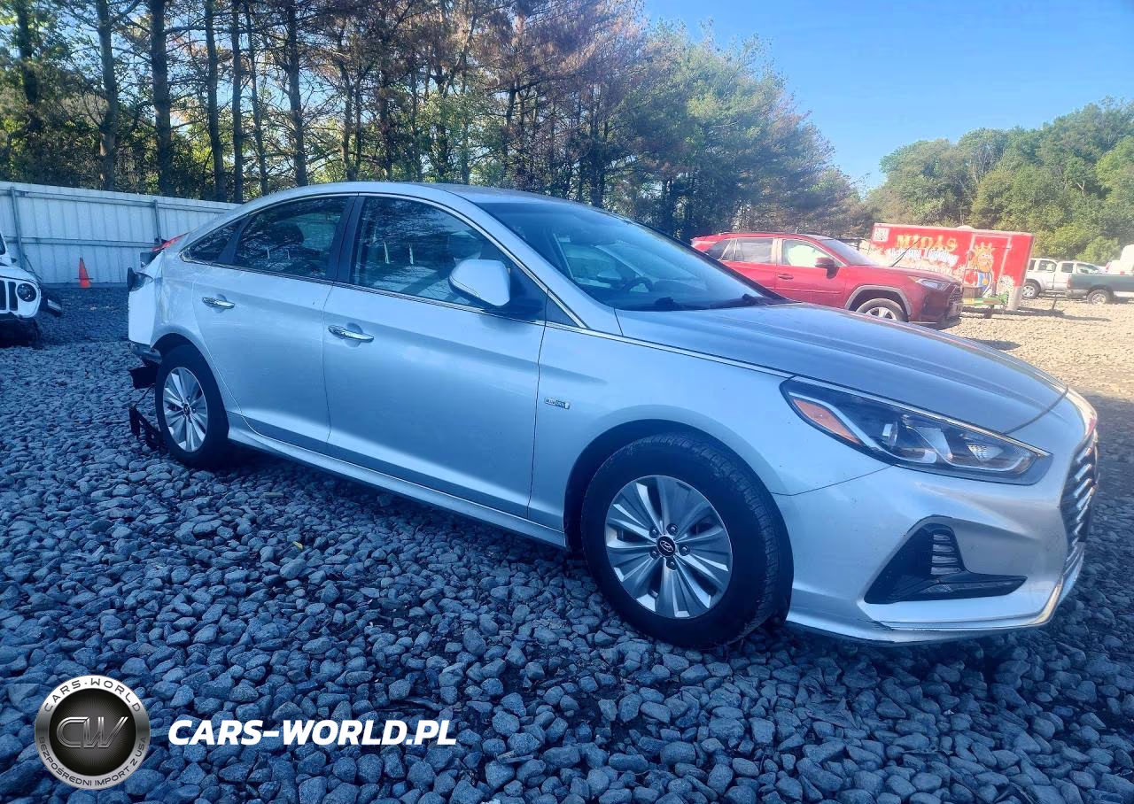 2019 Hyundai Sonata Hybrid Se VIN:KMHE24L3XKA091199 - 4