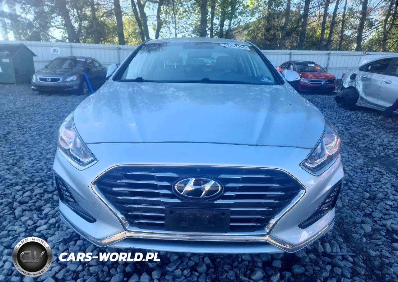 2019 Hyundai Sonata Hybrid Se VIN:KMHE24L3XKA091199 - 5