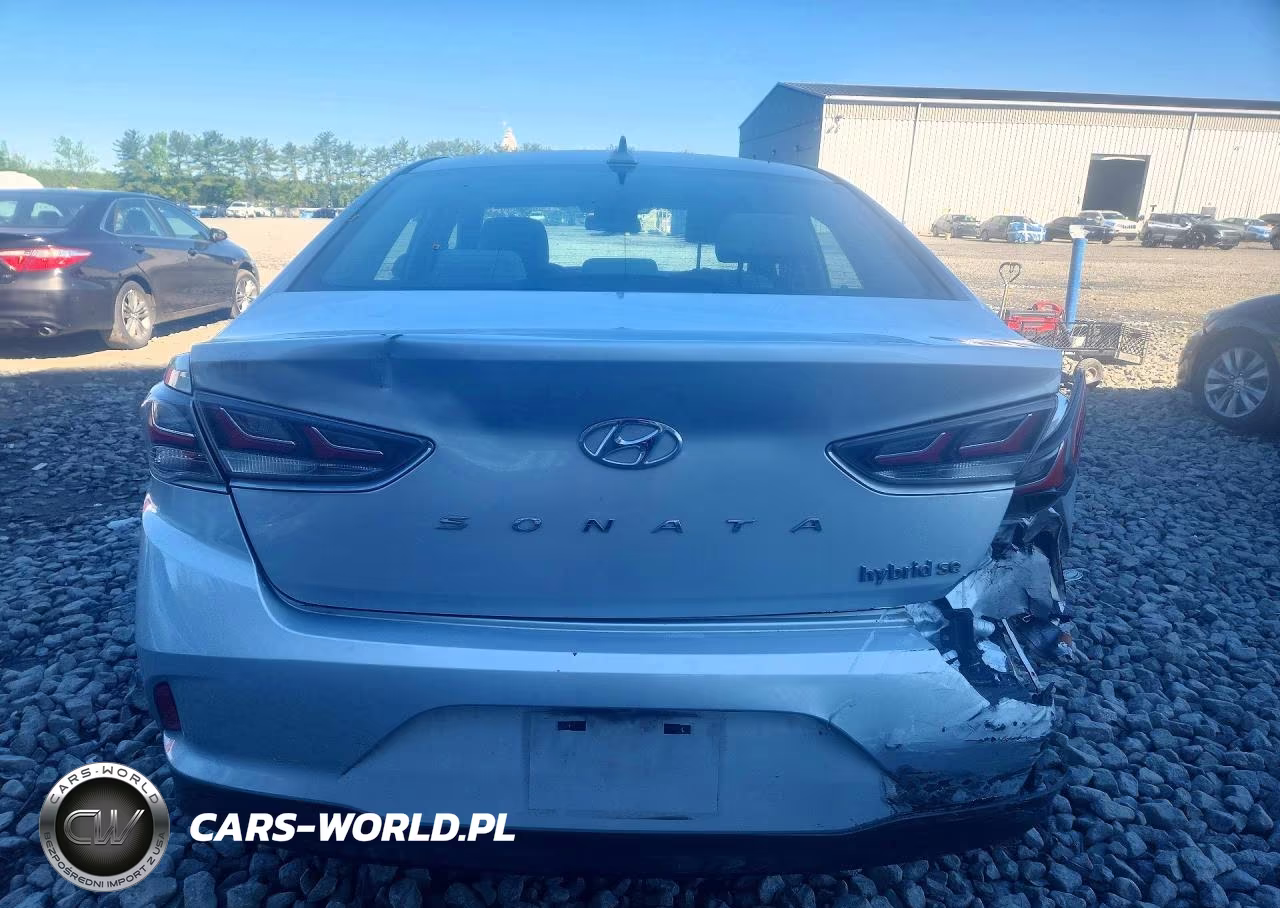 2019 Hyundai Sonata Hybrid Se VIN:KMHE24L3XKA091199 - 6
