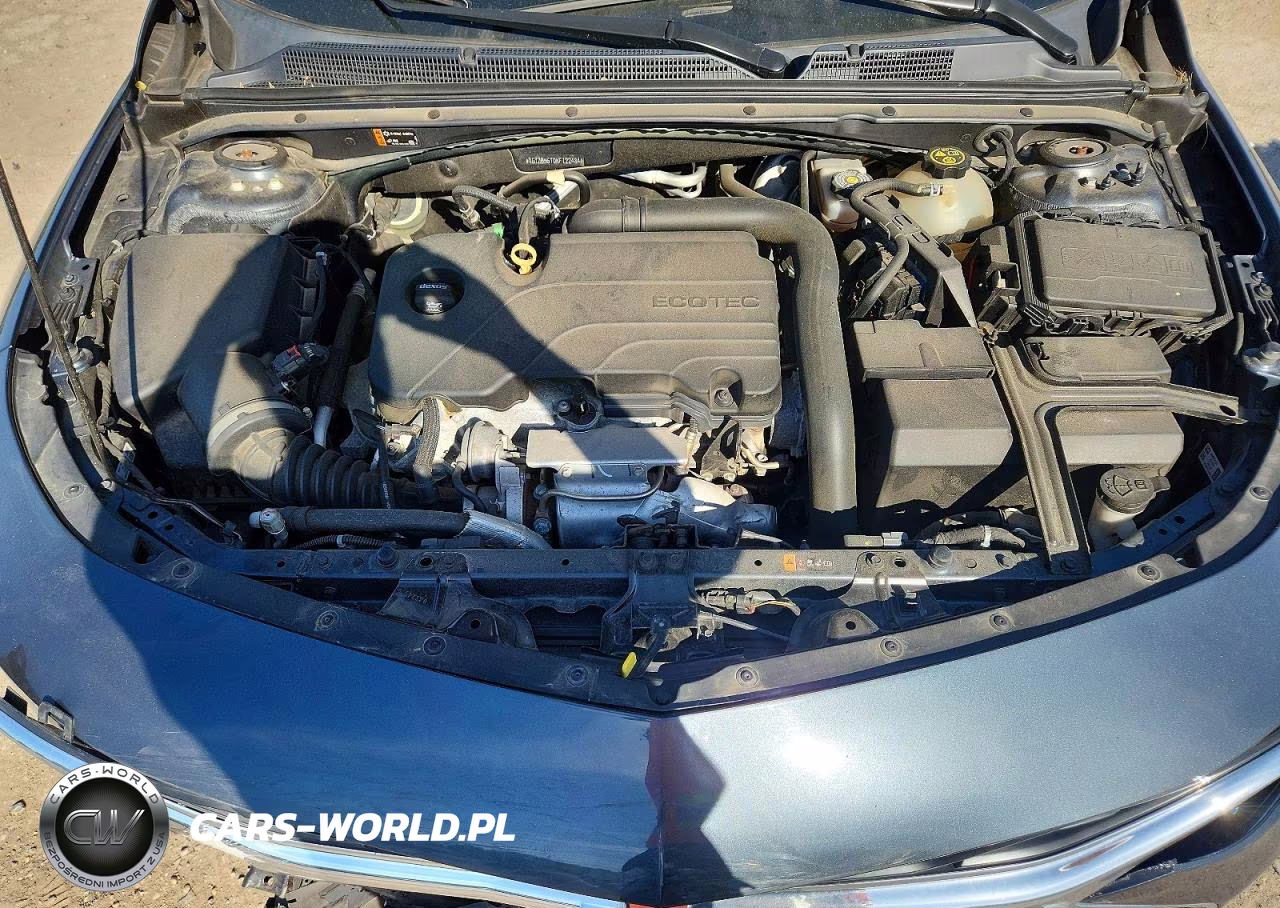 2019 Chevrolet Malibu Ls VIN:1G1ZB5ST0KF122484 - 11