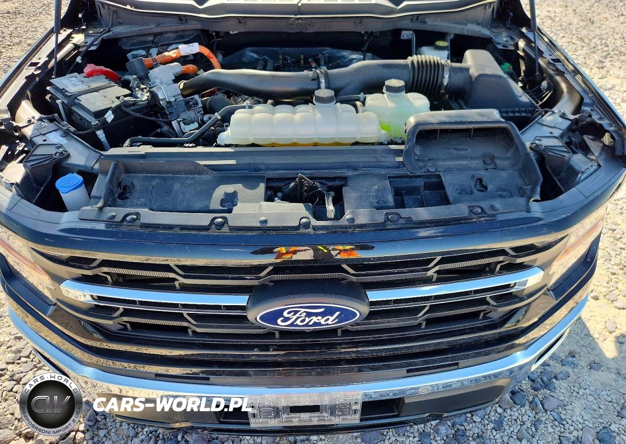 2024 Ford F150 Xlt VIN:1FTFW3LD5RFA33496 - 11