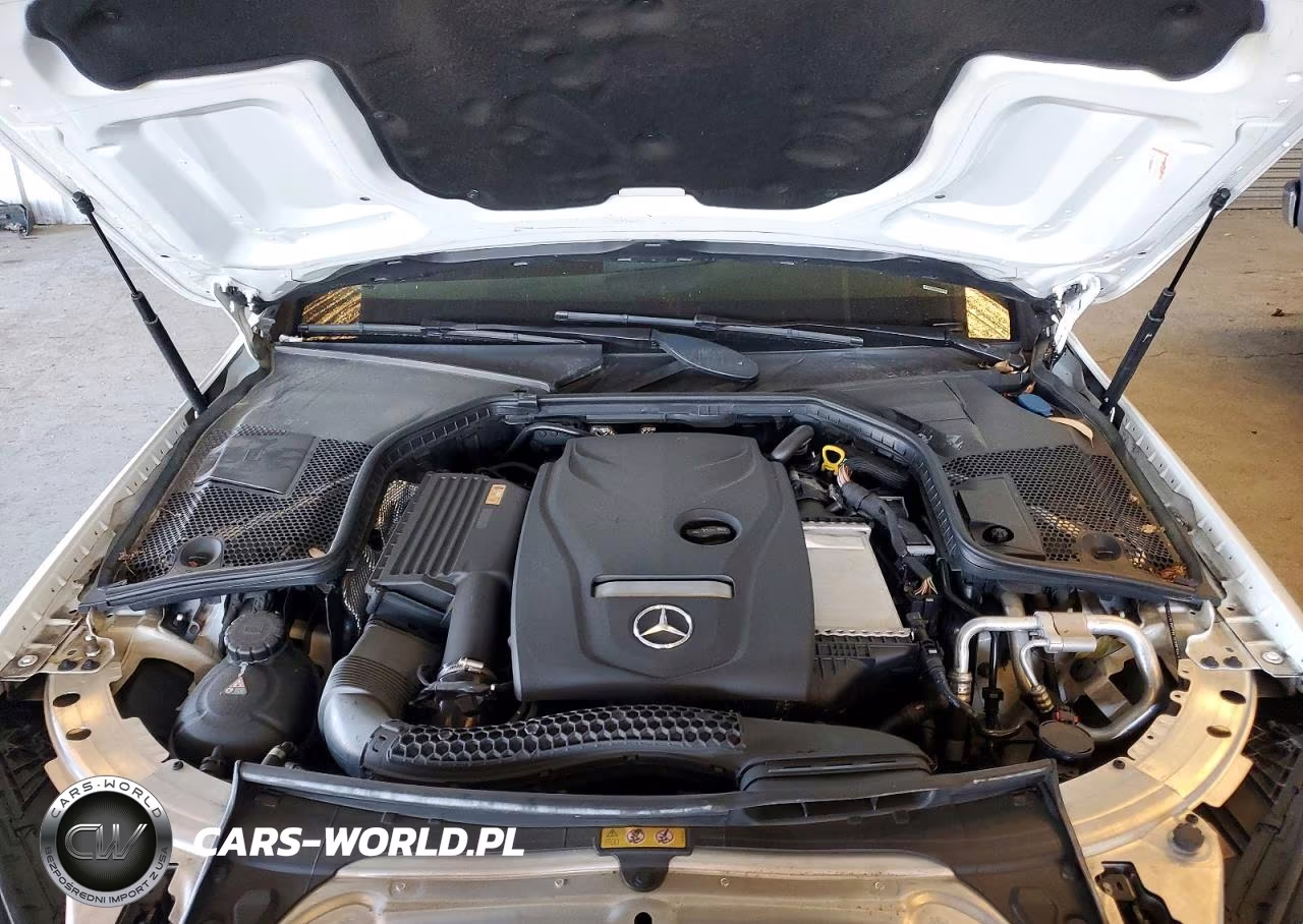 2017 Mercedes-Benz C 300 VIN:55SWF4JB0HU221092 - 11