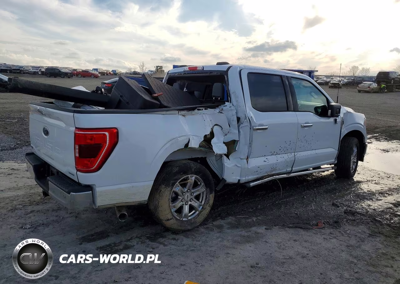 2022 Ford F150 Supercrew VIN:1FTEW1CP7NKD73955 - 3