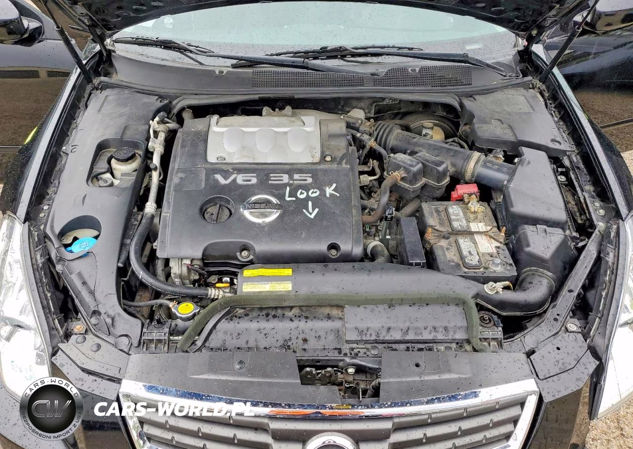 2007 Nissan Maxima 3.5 Se VIN:1N4BA41E27C847480 - 11