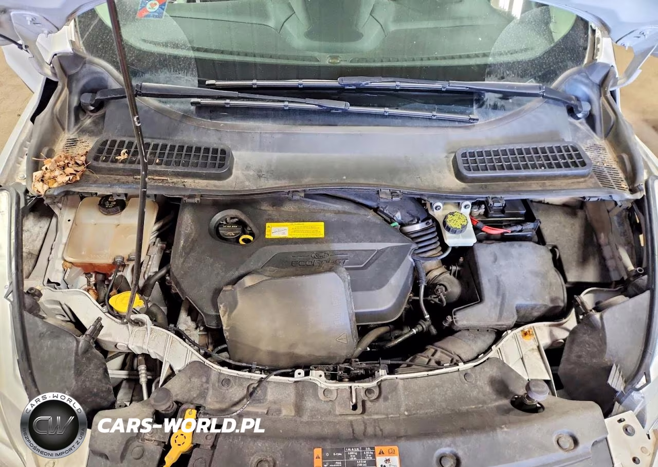 2016 Ford Escape Se VIN:1FMCU9GX7GUA65452 - 12